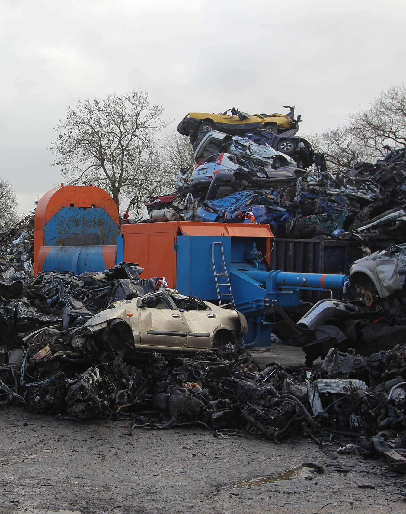 Molly Metal Recycling scrap yard